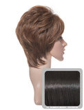 Lola Short Cropped Full Head Synthetic Wig in Darkest Brown #2 - Dolled Up Hair Extensions - 1